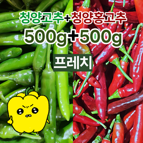 프레치 국내산 못난이 청양고추500G+청양홍고추500G세트