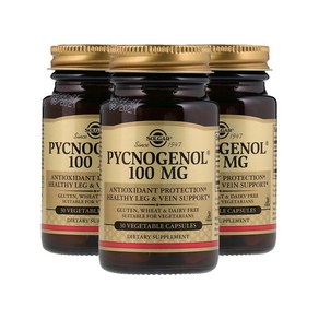 솔가 피크노제놀 100mg 30정 (캡슐) Solga Pycnogenol 30 cts -3개 SET, 1세트, 90정