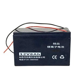 고압 분무기 충전 배터리 8ah 12V 리튬 밧데리 휴대용, 12V 12A(리튬 배터리) + 충전기, 1개