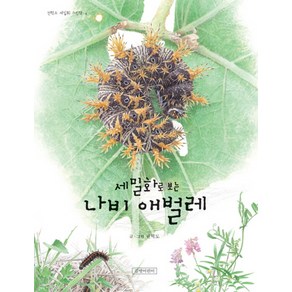 세밀화로 보는나비 애벌레