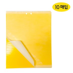 뿌리파리 날파리 초파리 끈끈이 트랩 양면 10매 20cm x 25cm, 1개, 10매입