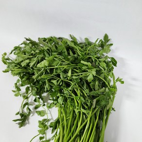 [하나의팜] 당일수확 당일발송 나주 노안 돌미나리 햇미나리, 1박스, 2kg