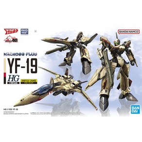 HG 1/100 마크로스 플러스 YF-19, 1개