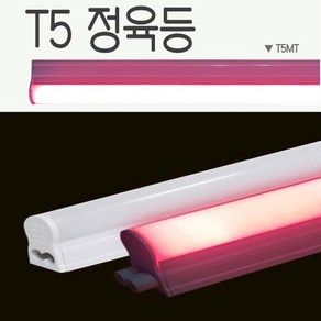 에스에스라이트/LED정육등/T5/BAR/정육점/정육식당/진홍색, LED T5-600(9W), 1개, 기타색