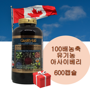 퀄리티랩 100배농축 아사이베리 슈퍼 안티옥시단트 골드 500mg 600캡슐 +사은품 대용량 캐나다, 1개, 500mg 600정, 600정