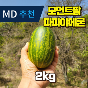 [모먼트팜] 고령 파파야 메론 산지직송 2kg / 5kg, 1박스, 2kg(4-8과)