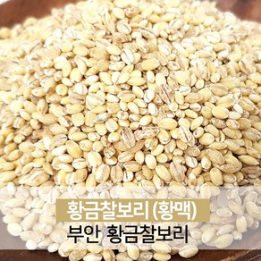 진도장모와서울큰사위 황금찰보리 노란보리 찰보리 쌀 1kg 부안 24년산 햇곡 출하