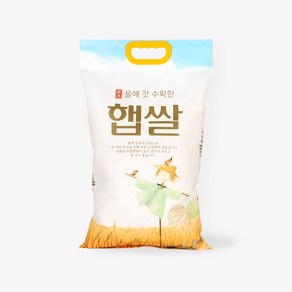 팩마트 올해갓수확한햅쌀 손잡이(4~5kg) 쌀 포장지 봉투, 290x500 [100장], 1개