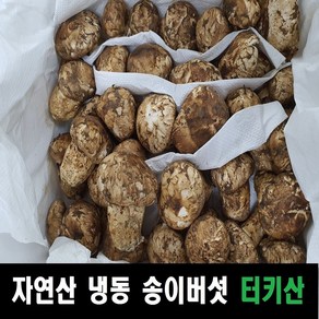 송이버섯 자연산 냉동송이버섯 터키산, 1개