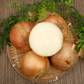 최씨네 양파, 1박스, 3kg (특)
