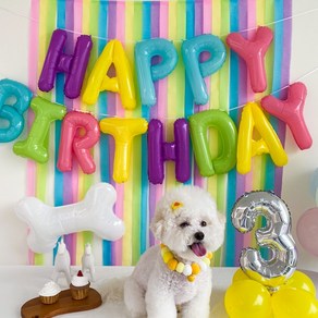 메리파티 강아지 생일파티용품 고양이 펫 생일상 풀세트