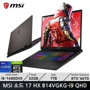 MSI Swod 17 HX B14VGKG-i9 QHD/ +마우스증정, 17 HX B14VGKG, WIN11 Home, 32GB, 1TB, 블랙