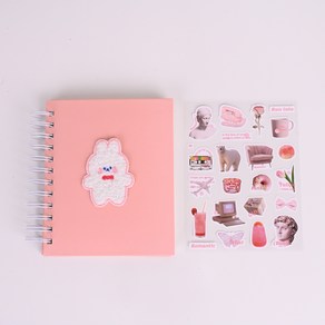 떨샵 패치 포토앨범 스티커세트 접착식 네컷 앨범 초음파 사진 보관 대용량 포토북, 핑크