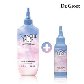 [VIP] 블랑쉬머스크 250ml*1 + 블랑쉬머스크100ml*1, 1개