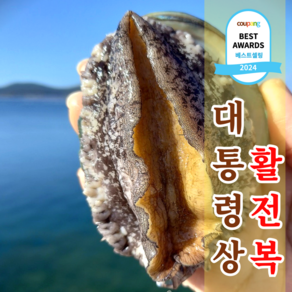 직거래 완도 활 전복