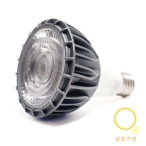 삼호기전 Longled PAR30 30w / 집중형 파30 e26led cob조명, 주광색, 1개