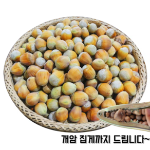 HONA국제 중국산 2024년 야생 생개암 생헤이즐넛 5000g 생깨암 깨금 생쩐즈, 1개, 5kg