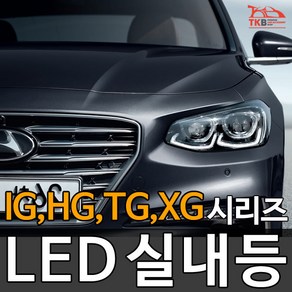 티커벨 LED실내등 그랜져IG/HG/TG/XG 시리즈, 번호판등 1대분, IG, 1개