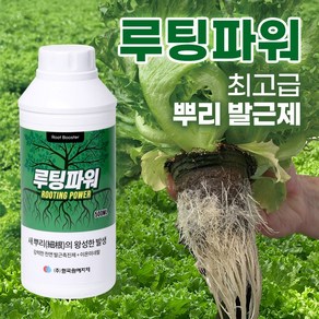 루팅파워 500ml (천연발근촉진제 + 이온미네랄) 뿌리영양제 식물발근촉진 장미 수국 과수 수목 뿌리강화 생장 성장 촉진 친환경 식물영양제 포도영양제 액상 액체 발근제