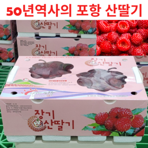 50년역사 고당도 GAP인증 산딸기, 1개, 2kg