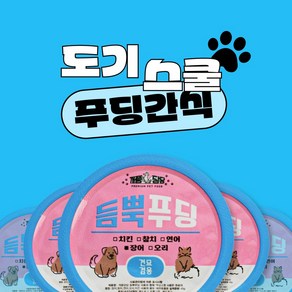 도기스쿨 반려동물 강아지 고양이 캔 간식 푸딩 치킨 장어 참치 연어 3캔, 1세트, 47g, 연어맛