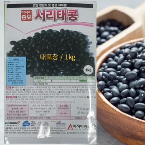 서리태콩씨앗 대포장 1kg 1개 재래종 서리태콩 대포장