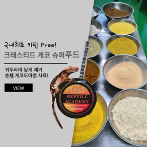 국내최초 키틴 Fee 크레스티드 게코 슈퍼푸드 - Cested Gecko Food 귀뚜라미 날개 제거 수제 게코도마뱀 사료 75g, 1개