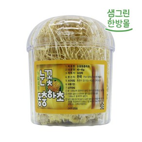 국내산 A급 눈꽃 동충하초 1통 (40~45g), 1개