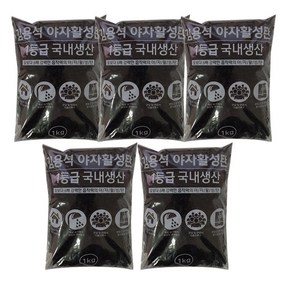 1등급 김용석 야자활성탄 베이크아웃 새집증후군 냄새제거 공기정화효과에 탁월, 1kg, 5개