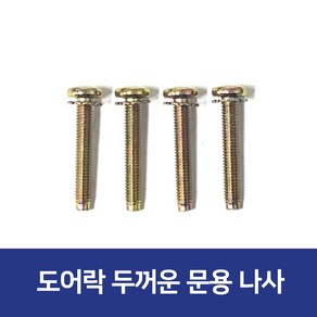 도어락 나사 30-70mm 두꺼운 문용 체결나사 10개 세트