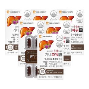 대웅생명과학 가네파워 30캡슐(1개월분) / 밀크씨슬, 30정, 6개