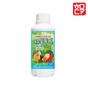 대유 물푸레 2호+호미닷컴 전용 약수저 세트, 1. 물푸레 2호 A (과채), 1개, 500ml