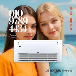 LG 천장형 에어컨 인버터 시스템 에어컨 10평 냉방기 (TQ0401U2S), TQ0401U2S, 일반배관형