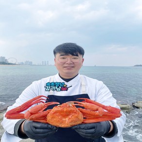 속초 선밀수산 제철 홍게 게 프리미엄 일반형 라면용 자숙 2kg 3kg, 1개, 라면용 2kg(4~6미) 자숙