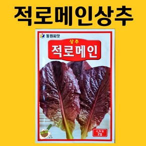 농사친구 적로메인 씨앗 2g 동원 씨 종자 상추 쪽파 고사리 명이나물 산상추 초당옥수수 항암배추 담배 산마늘 아스파라거스 고수, 1개