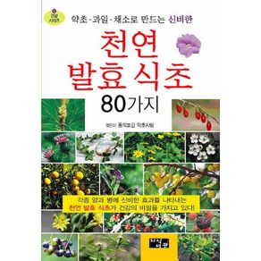 [지식서관]천연발효식초 80가지 : 약초 과일 채소로 만드는 신비한