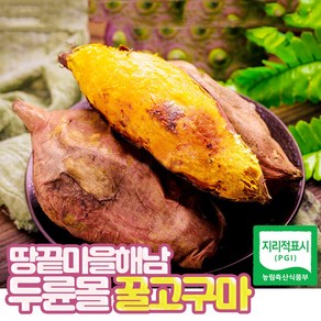 두륜몰 해남 꿀/밤고구마 베니하루카, 5kg(중상), 1박스