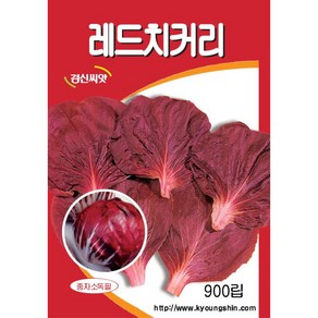 (씨앗) 적치커리 - 쌈채소 -레드치커리 적치커리 - 씨앗 종자 - 900립, 1개