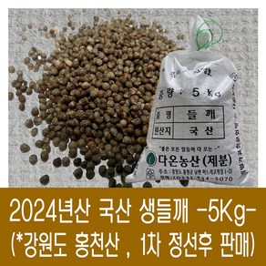 [다온농산] 국산 생들깨 -5Kg- <강원도 홍천산> 들깨 1말 마대포장, 5kg, 1개