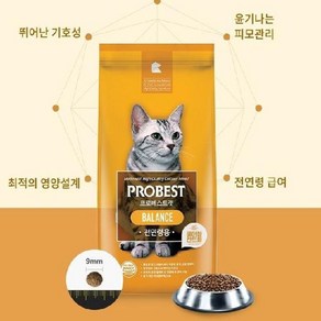 프로베스트 캣 전연령 밸런스 5kg 7kg 고양이 기능성 사료 [냥냥이멍멍이]