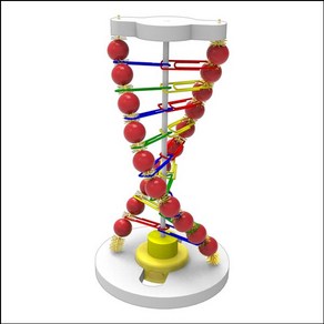 뉴 LED DNA 조명등