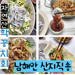 학꽁치 회 너무 싱싱한 산지직송 남해안 손질 끝, 1개, 500g 회초장세트증정