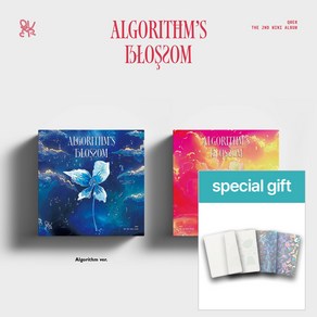 [특별사은품증정] QWER 앨범 알고리즘블라썸 미니2집 Algorithm's Blossom 2종세트 (포토북+포스트카드+CD 외) 내이름맑음