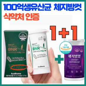 날씬 몸매 최신상 체지방컷 다이어트 100억 생유산균 식약처인증, 2개, 30정