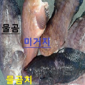 (쌍다리상회)생물 물곰 물곰치 1마리이상 3kg내외 6-8인분, 물곰 토막손질 3kg내외 6-8인용 생물, 1개