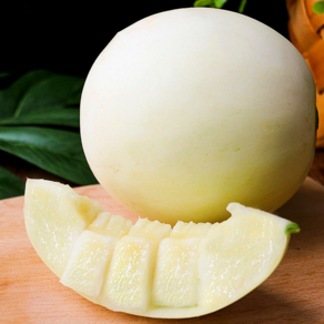[꿀당도보장] 장인이키운 당일수확 농장직배송 고당도메론 수신메론, 1세트, 5kg