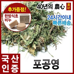 자애인 국산 포공영 1200g 민들레 건조 충북제천, 단품, 1개