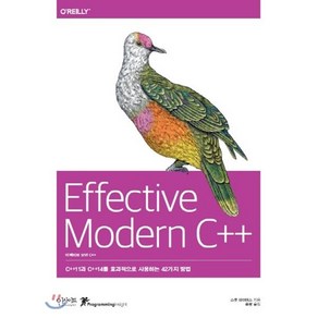 Effective Moden 이펙티브 모던 C++, 인사이트(insight)