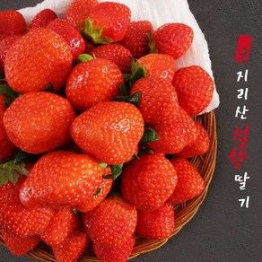 GAP 지리산 산청 설향 딸기 중품 상품 특품 1kg, 중품 1kg (80과 내외)-크기작음 청용 카페용, 1개