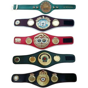 WBC WBA WBO IBFIBO 챔피언십 복싱 벨트 레플리카 미니 5, 1개